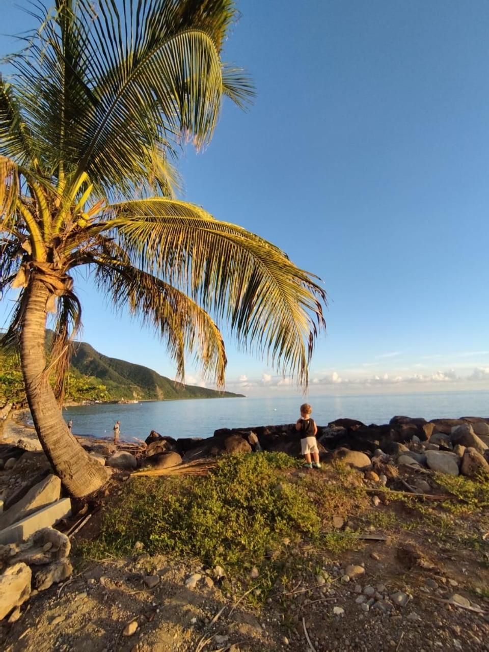 Kaz A Soley - Gite Vue Panoramique Sur La Mer - Plage A 500M Gourbeyre Exteriör bild